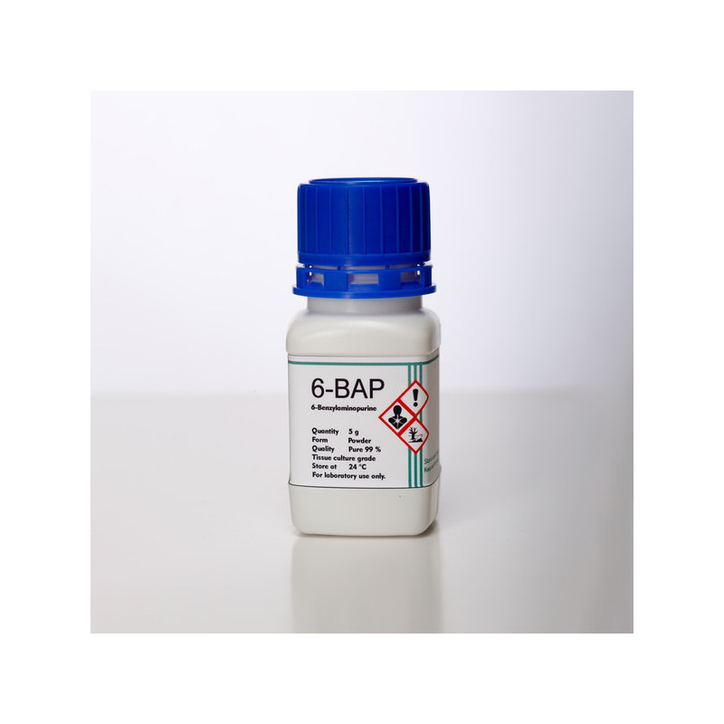 BAP-6 (6-Benzylaminopurine) Cytokinin – 99% Pure for Plant Tissue Culture