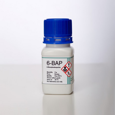 BAP-6 (6-Benzylaminopurine) Cytokinin – 99% Pure for Plant Tissue Culture