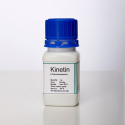 Kinetin Cytokinin – Promotes Cell Division and Shoot Growth for Plant Tissue Culture