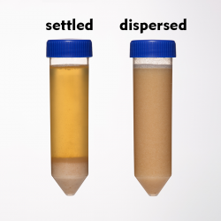 Mead Yeast Strain – Slow Fermenting, 50 ml Tube, Ideal for Capsicumel & Metheglin